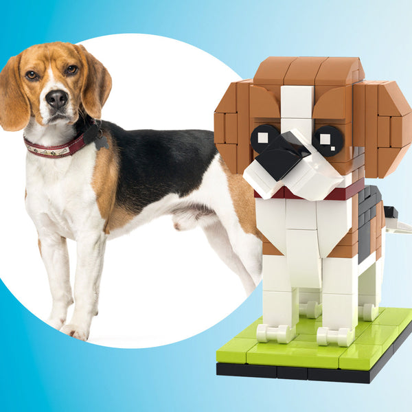 Ganzkörper-anpassbarer Beagle 1 Hundefoto Benutzerdefinierte Ziegelfiguren Kleine Partikelblock-brick-me-figuren Nur Beagle Nach Maß