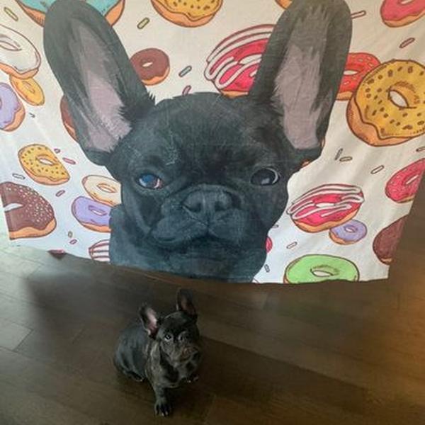 Kundenspezifische Hund Decken Personalisierte Haustier Foto Decken Gemalte Kunst Porträt Wolle Decke