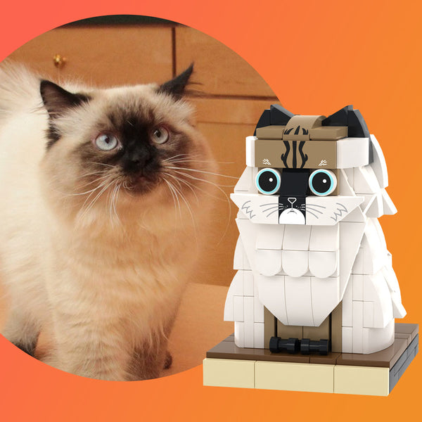 Custom Pet Brick Figure Full Body Anpassbare 1 Cat Photo Brick Figures Customized Cat Only